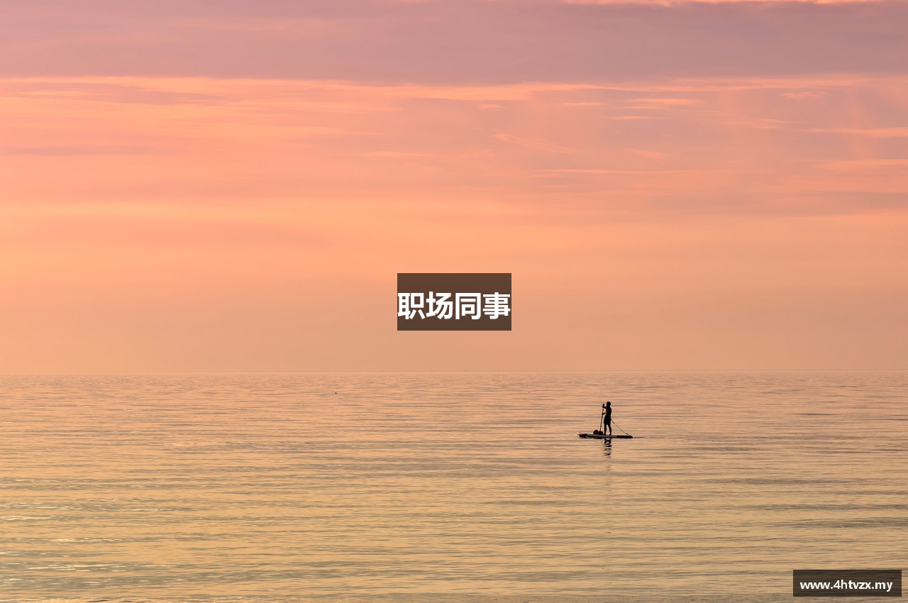 职场同事